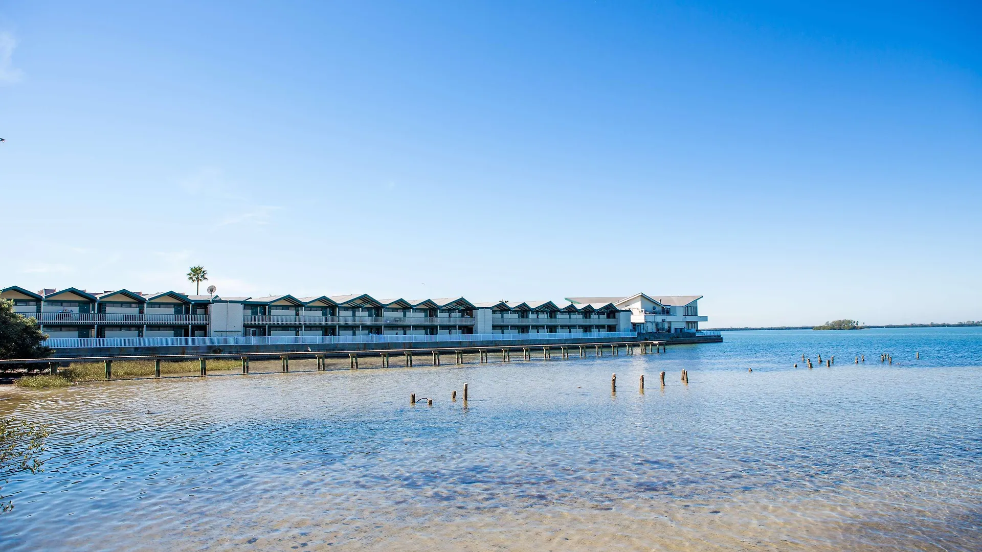 Hotel Best Western Plus Yacht Harbor Inn Dunedin
